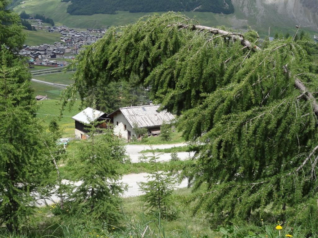 Hotel Marzia Livigno Kültér fotó